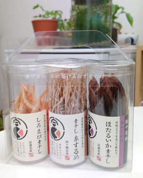 英語でイカは何という Squid Cuttlefish Calamari の違いを解説 志塾あるま まーた